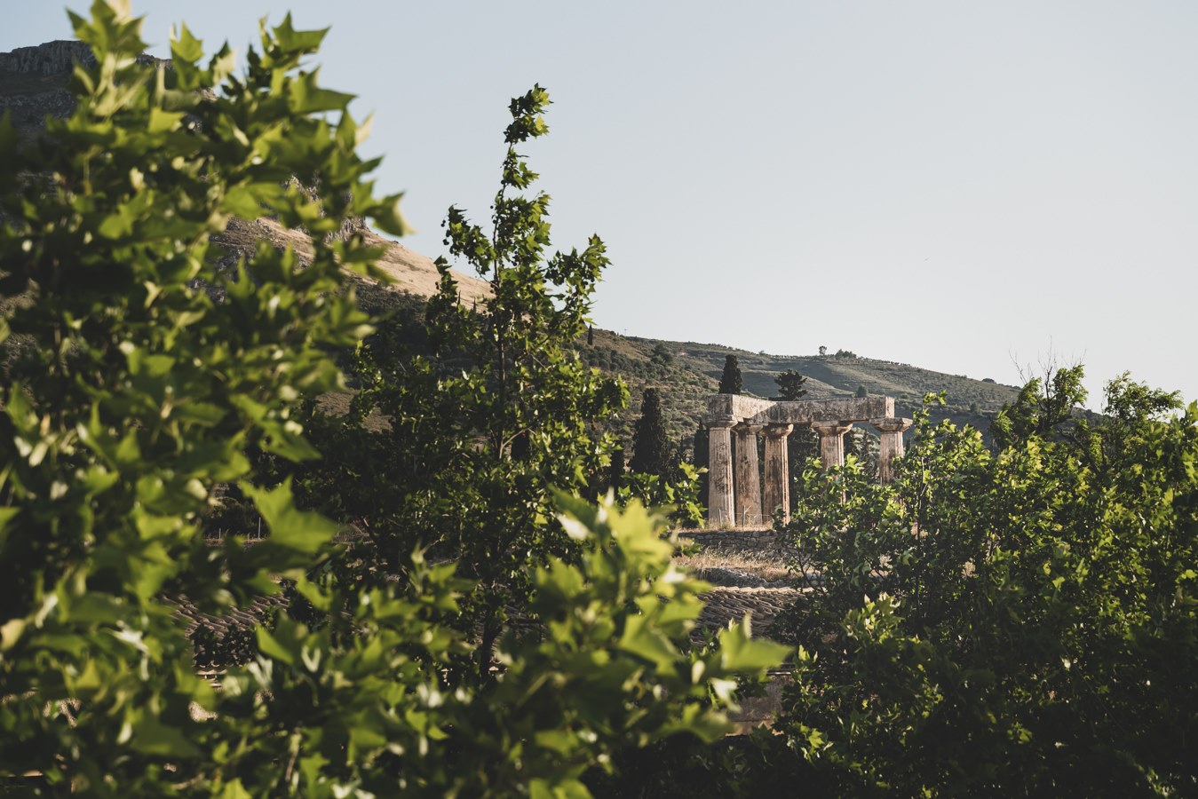 “ Ανοικτό δημόσιο κάλεσμα μέσω των τοπικών μέσων μαζικής ενημέρωσης, της ανακοίνωσης προγραμματικών δεσμεύσεων, για την Αρχαία Κόρινθο σε όλους τους συνδυασμούς , εν όψη των επερχόμενων Επιμελητηριακών Εκλογών 2024  “